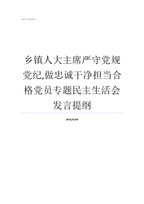 乡镇人大主席严守党规党纪做忠诚干净担当合格党员专题民主生活会发言提纲党纪党规