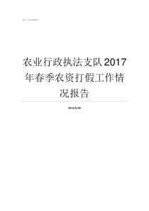 农业行政执法支队2017年春季农资打假工作情况报告农业综合行政执法支队