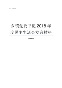 乡镇党委书记2018年度民主生活会发言材料党委书记