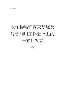 农作物秸秆露天禁烧及综合利用工作会议上的表态性发言