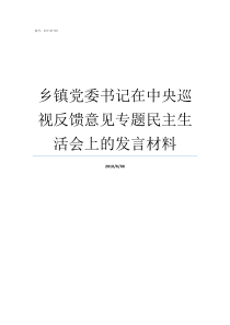 乡镇党委书记在中央巡视反馈意见专题民主生活会上的发言材料乡镇党委书记什么级别