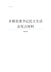 乡镇党委书记民主生活会发言材料乡镇党委书记什么级别