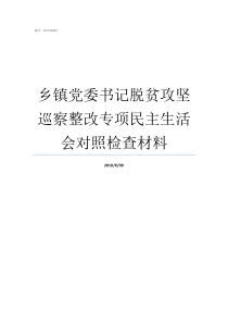 乡镇党委书记脱贫攻坚巡察整改专项民主生活会对照检查材料