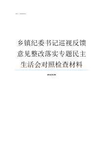 乡镇纪委书记巡视反馈意见整改落实专题民主生活会对照检查材料某县委接到了关于省委巡视组