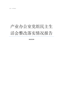 产业办公室党组民主生活会整改落实情况报告