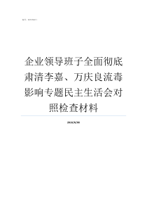 企业领导班子全面彻底肃清李嘉万庆良流毒影响专题民主生活会对照检查材料领导班子存在哪些问题