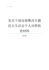 党员干部巡视整改专题民主生活会个人对照检查材料召开巡视整改专题