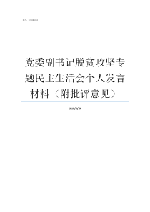 党委副书记脱贫攻坚专题民主生活会个人发言材料附批评意见脱贫攻坚专报