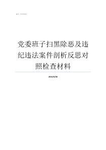 党委班子扫黑除恶及违纪违法案件剖析反思对照检查材料