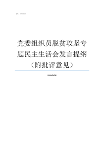 党委组织员脱贫攻坚专题民主生活会发言提纲附批评意见脱贫攻坚工作中县级党委