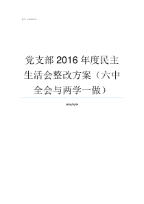 党支部2016年度民主生活会整改方案六中全会与两学一做