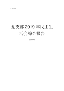 党支部2019年民主生活会综合报告2019年党支部半年总结