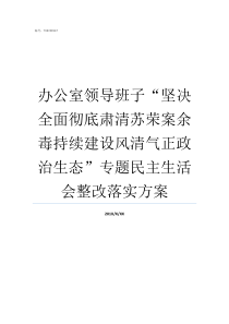 办公室领导班子坚决全面彻底肃清苏荣案余毒持续建设风清气正政治生态专题民主生活会整改落实方案县委办公室