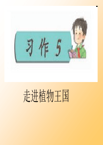 苏教版四年级语文下册习作5课件