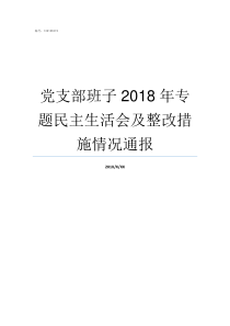 党支部班子2018年专题民主生活会及整改措施情况通报