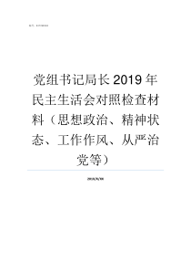 党组书记局长2019年民主生活会对照检查材料思想政治精神状态工作作风从严治党等党组书记