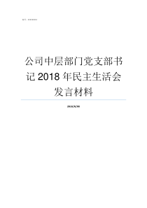 公司中层部门党支部书记2018年民主生活会发言材料党总支部书记和党支部