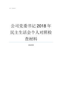 公司党委书记2018年民主生活会个人对照检查材料党委书记