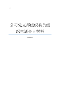 公司党支部组织委员组织生活会言材料党支部组织委员的职责