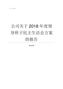 公司关于2018年度领导班子民主生活会方案的报告2018年度报告怎么