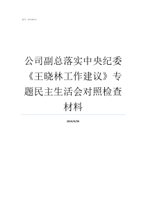 公司副总落实中央纪委王晓林工作建议专题民主生活会对照检查材料中央巡视组