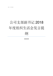 公司支部副书记2018年度组织生活会发言提纲支部副书记如何产生