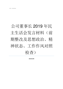 公司董事长2019年民主生活会发言材料前期整改及思想政治精神状态工作作风对照检查金螳螂公司董事长