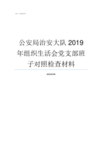 公安局治安大队2019年组织生活会党支部班子对照检查材料公安局治安大队