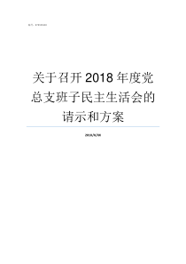 关于召开2018年度党总支班子民主生活会的请示和方案2018年度工作开展情况