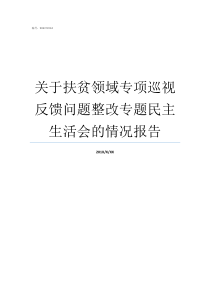 关于扶贫领域专项巡视反馈问题整改专题民主生活会的情况报告扶贫巡视