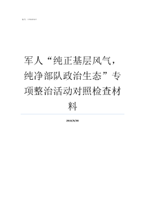军人纯正基层风气纯净部队政治生态专项整治活动对照检查材料纯正基层风气