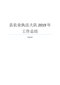 县农业执法大队2019年工作总结公安工作总结公安刑侦工作总结