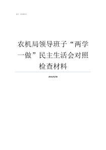 农机局领导班子两学一做民主生活会对照检查材料郴州市农机局领导班子