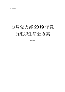 分局党支部2019年党员组织生活会方案2019年党支部半年总结