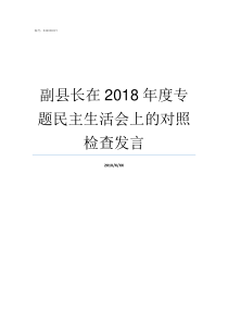 副县长在2018年度专题民主生活会上的对照检查发言副县长