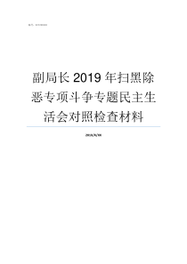 副局长2019年扫黑除恶专项斗争专题民主生活会对照检查材料任命殷2019年