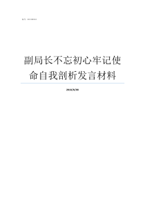 副局长不忘初心牢记使命自我剖析发言材料牢记初心不忘使命发言材料