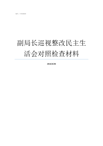 副局长巡视整改民主生活会对照检查材料