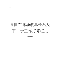 县国有林场改革情况及下一步工作打算汇报