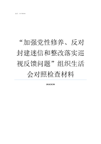 加强党性修养反对封建迷信和整改落实巡视反馈问题组织生活会对照检查材料