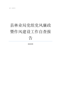 县林业局党组党风廉政暨作风建设工作自查报告林业局是党委还是党组