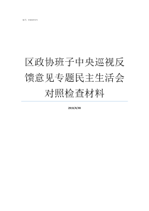 区政协班子中央巡视反馈意见专题民主生活会对照检查材料省委巡视办