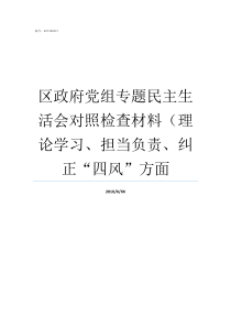 区政府党组专题民主生活会对照检查材料理论学习担当负责纠正四风方面区政府可以成立党组吗