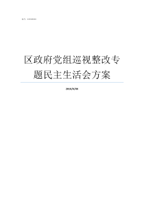 区政府党组巡视整改专题民主生活会方案落实巡视整改党组