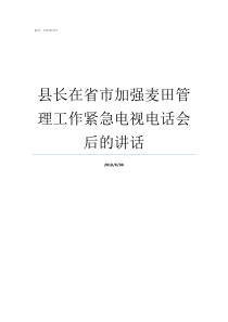 县长在省市加强麦田管理工作紧急电视电话会后的讲话麦田怎么样