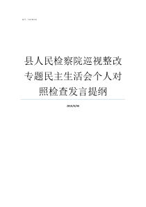 县人民检察院巡视整改专题民主生活会个人对照检查发言提纲