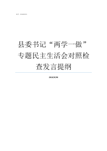 县委书记两学一做专题民主生活会对照检查发言提纲