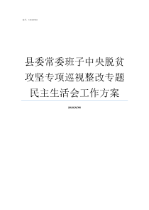 县委常委班子中央脱贫攻坚专项巡视整改专题民主生活会工作方案