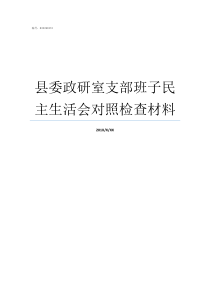 县委政研室支部班子民主生活会对照检查材料