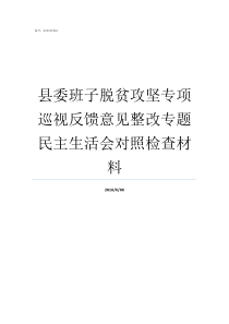 县委班子脱贫攻坚专项巡视反馈意见整改专题民主生活会对照检查材料脱贫攻坚责任分工